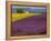 France, Provence, Old Farm House in Field of Lavender and Sunflowers-Terry Eggers-Framed Premier Image Canvas