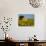 France, Provence, Old Farm House in Field of Sunflowers-Terry Eggers-Premium Photographic Print displayed on a wall