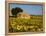 France, Provence, Old Farm House in Field of Sunflowers-Terry Eggers-Framed Premier Image Canvas