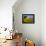 France, Provence, Old Farm House in Field of Sunflowers-Terry Eggers-Framed Premier Image Canvas displayed on a wall