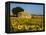 France, Provence, Old Farm House in Field of Sunflowers-Terry Eggers-Framed Premier Image Canvas