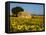 France, Provence, Old Farm House in Field of Sunflowers-Terry Eggers-Framed Premier Image Canvas