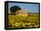 France, Provence, Old Farm House in Field of Sunflowers-Terry Eggers-Framed Premier Image Canvas