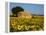 France, Provence, Old Farm House in Field of Sunflowers-Terry Eggers-Framed Premier Image Canvas