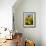 France, Provence, Old Farm House in Field of Sunflowers-Terry Eggers-Framed Photographic Print displayed on a wall