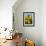 France, Provence, Old Farm House in Field of Sunflowers-Terry Eggers-Framed Photographic Print displayed on a wall
