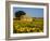 France, Provence, Old Farm House in Field of Sunflowers-Terry Eggers-Framed Photographic Print