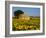 France, Provence, Old Farm House in Field of Sunflowers-Terry Eggers-Framed Photographic Print