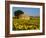 France, Provence, Old Farm House in Field of Sunflowers-Terry Eggers-Framed Photographic Print