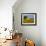 France, Provence, Old Farm House in Field of Sunflowers-Terry Eggers-Framed Photographic Print displayed on a wall