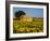 France, Provence, Old Farm House in Field of Sunflowers-Terry Eggers-Framed Photographic Print