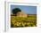 France, Provence, Old Farm House in Field of Sunflowers-Terry Eggers-Framed Photographic Print