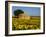 France, Provence, Old Farm House in Field of Sunflowers-Terry Eggers-Framed Photographic Print