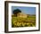 France, Provence, Old Farm House in Field of Sunflowers-Terry Eggers-Framed Photographic Print