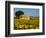 France, Provence, Old Farm House in Field of Sunflowers-Terry Eggers-Framed Photographic Print