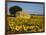 France, Provence, Old Farm House in Field of Sunflowers-Terry Eggers-Framed Photographic Print