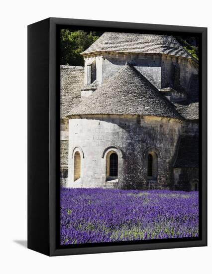 France, Provence, Seananque Abbey, Seananque Abbey with Lavender in Full Bloom-Terry Eggers-Framed Premier Image Canvas