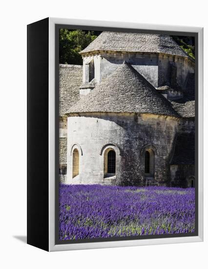 France, Provence, Seananque Abbey, Seananque Abbey with Lavender in Full Bloom-Terry Eggers-Framed Premier Image Canvas