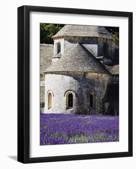 France, Provence, Seananque Abbey, Seananque Abbey with Lavender in Full Bloom-Terry Eggers-Framed Photographic Print