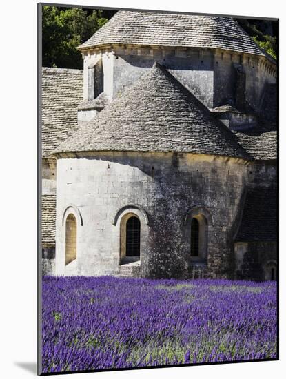 France, Provence, Seananque Abbey, Seananque Abbey with Lavender in Full Bloom-Terry Eggers-Mounted Photographic Print