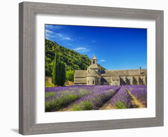 France, Provence, Senanque Abbey with Lavender in Full Bloom-Terry Eggers-Framed Photographic Print