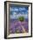 France, Provence, Valensole, Lone Tree in Lavender Field-Terry Eggers-Framed Photographic Print