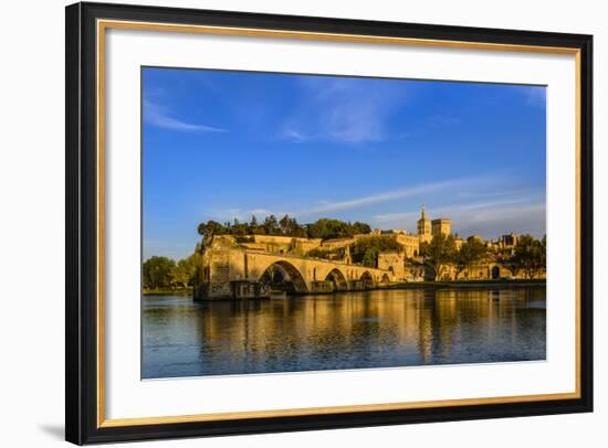 France, Provence, Vaucluse, Avignon, Rh™ne Shore-Udo Siebig-Framed Photographic Print