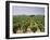 France, Rhone Valley, Chateauneuf Du Pape, Wine-Growing Area-Thonig-Framed Photographic Print