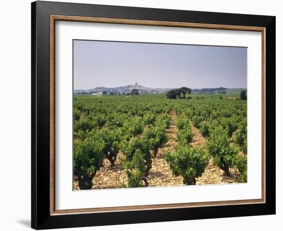 France, Rhone Valley, Chateauneuf Du Pape, Wine-Growing Area-Thonig-Framed Photographic Print