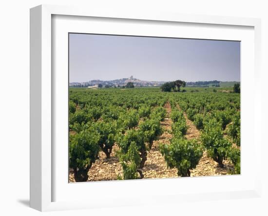 France, Rhone Valley, Chateauneuf Du Pape, Wine-Growing Area-Thonig-Framed Photographic Print