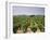 France, Rhone Valley, Chateauneuf Du Pape, Wine-Growing Area-Thonig-Framed Photographic Print