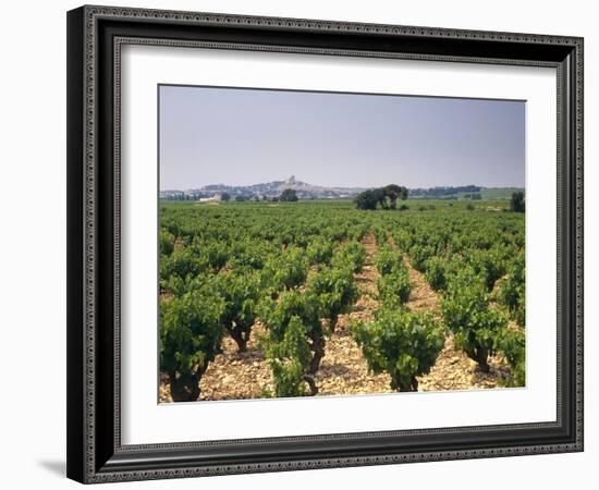 France, Rhone Valley, Chateauneuf Du Pape, Wine-Growing Area-Thonig-Framed Photographic Print