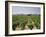 France, Rhone Valley, Chateauneuf Du Pape, Wine-Growing Area-Thonig-Framed Photographic Print