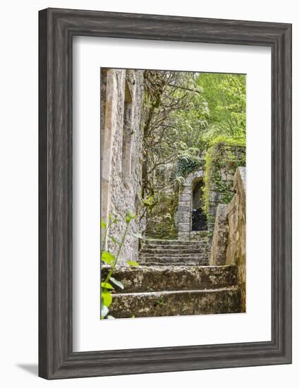 France, Saint-Cirq Lapopie. Stairway in the village-Hollice Looney-Framed Photographic Print