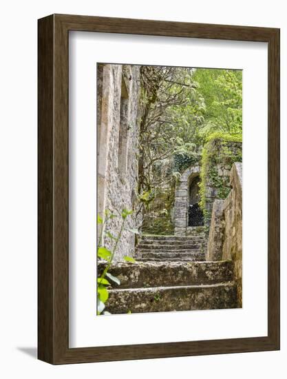 France, Saint-Cirq Lapopie. Stairway in the village-Hollice Looney-Framed Photographic Print