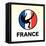 France Soccer-null-Framed Premier Image Canvas