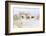 France, The Camargue, Saintes-Maries-de-la-Mer. Camargue Horse herd.-Ellen Goff-Framed Photographic Print