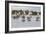 France, The Camargue, Saintes-Maries-de-la-Mer. Camargue horses running through water.-Ellen Goff-Framed Photographic Print