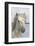 France, The Camargue, Saintes-Maries-de-la-Mer, Portrait of a Camargue horse.-Ellen Goff-Framed Photographic Print