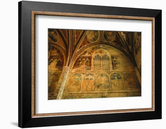 France, Toulouse. Church of the Jacobins side chapel.-Hollice Looney-Framed Photographic Print