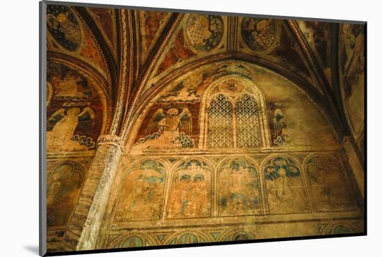 France, Toulouse. Church of the Jacobins side chapel.-Hollice Looney-Mounted Photographic Print