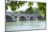 France, Toulouse, Pont Neuf Bridge over the Garonne River-Emily Wilson-Mounted Photographic Print