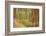 France, Vaucluse, Roussillon. Tree Covered in Ochre, Sentier Des Ocres-Kevin Oke-Framed Photographic Print