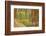 France, Vaucluse, Roussillon. Tree Covered in Ochre, Sentier Des Ocres-Kevin Oke-Framed Photographic Print