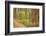 France, Vaucluse, Roussillon. Tree Covered in Ochre, Sentier Des Ocres-Kevin Oke-Framed Photographic Print