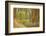 France, Vaucluse, Roussillon. Tree Covered in Ochre, Sentier Des Ocres-Kevin Oke-Framed Photographic Print