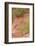 France, Vaucluse, Roussillon. Trees and Red Ochre at Sentier Des Ocres-Kevin Oke-Framed Photographic Print