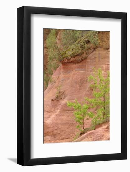 France, Vaucluse, Roussillon. Trees and Red Ochre at Sentier Des Ocres-Kevin Oke-Framed Photographic Print