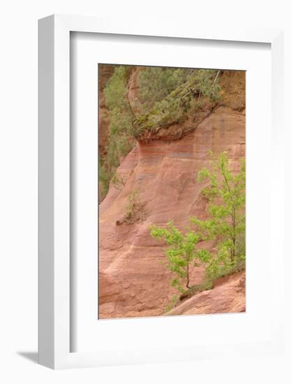 France, Vaucluse, Roussillon. Trees and Red Ochre at Sentier Des Ocres-Kevin Oke-Framed Photographic Print