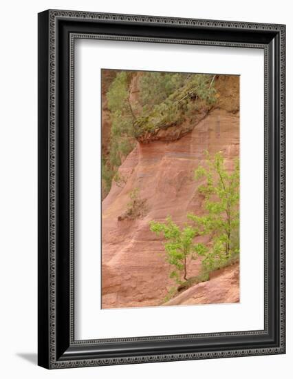 France, Vaucluse, Roussillon. Trees and Red Ochre at Sentier Des Ocres-Kevin Oke-Framed Photographic Print